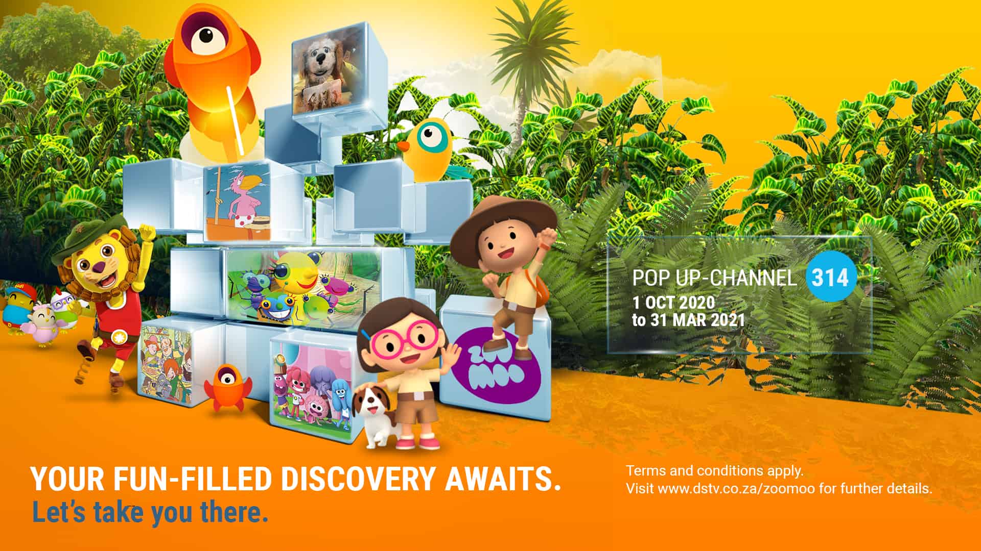 Zoomoo Web Banner 1920X1080 (1)